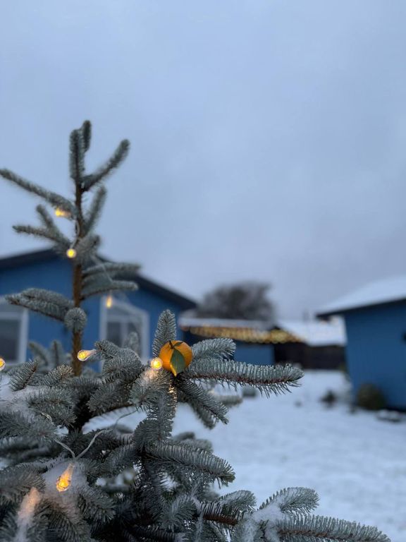 Дом семейная дача