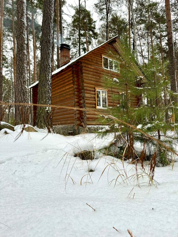Семейный номер стандарт с видом на лес