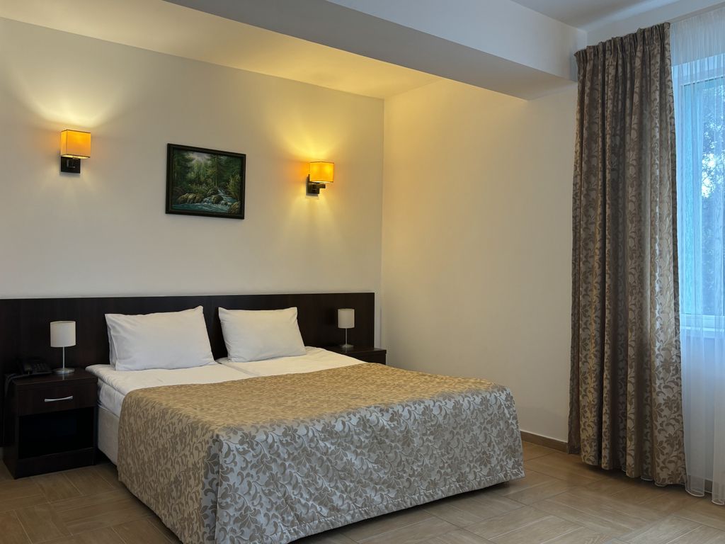 Двухместный номер с 1 кроватью Стандарт с французским балконом