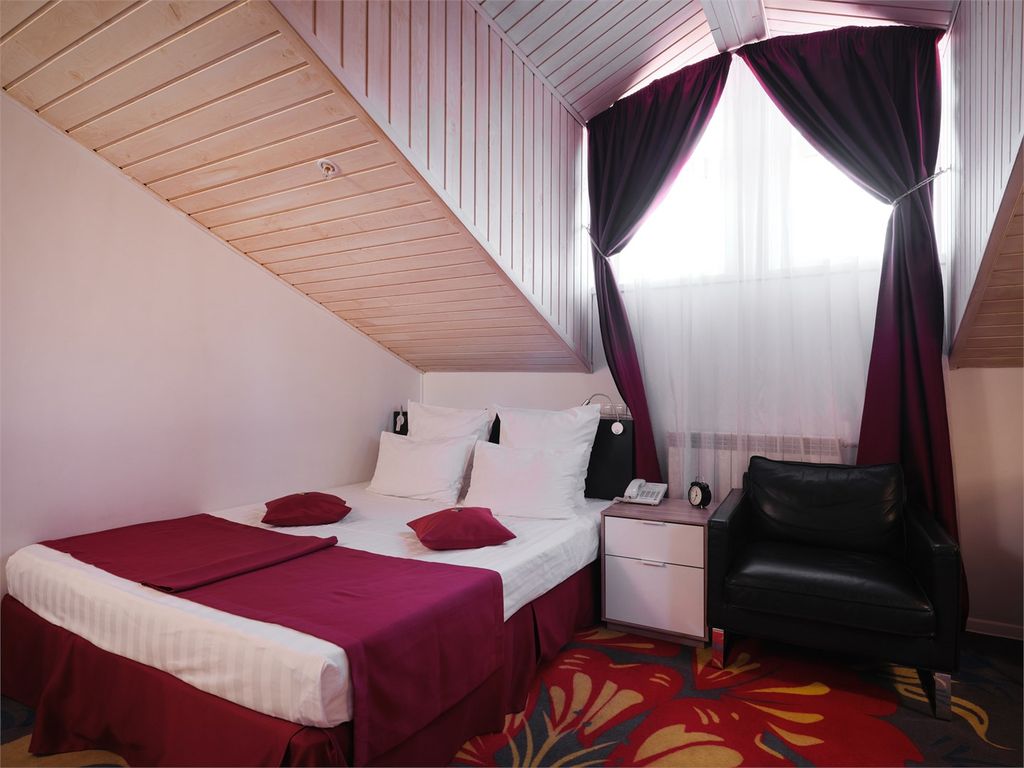 Двухместный номер с 1 кроватью мансарда