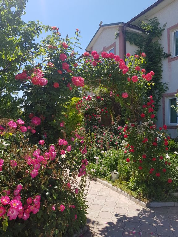 Трёхместный номер стандарт