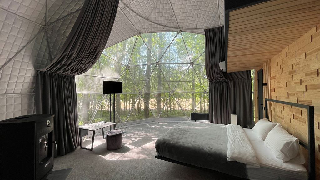 Дом Геокупол лес