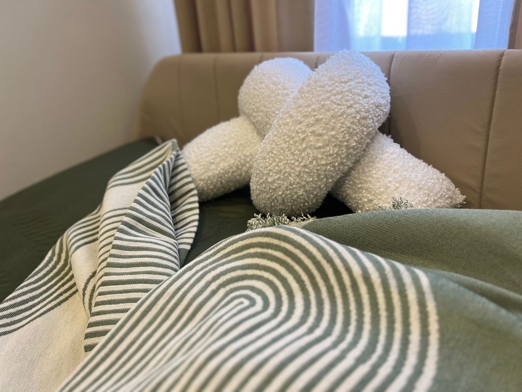 Двухместный с 1 кроватью студия 12 оливковая