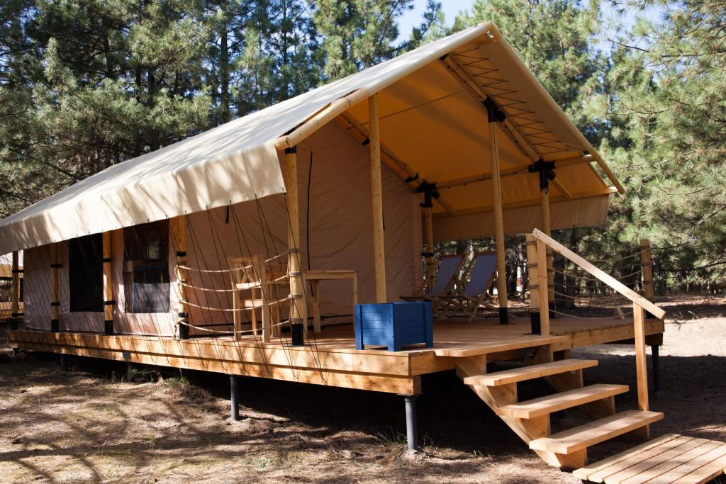 Сафари-тент Тент-хаус в сосновом лесу