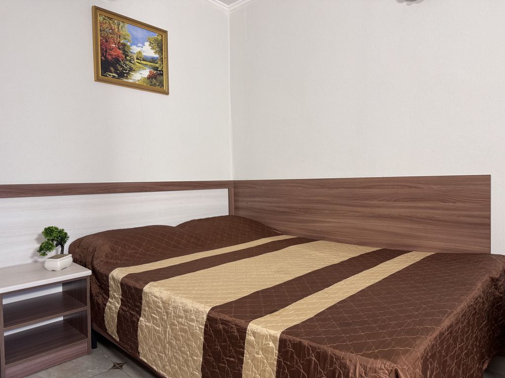 Двухместный номер с 1 кроватью стандарт