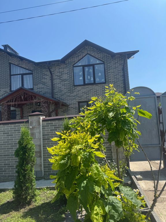 Двухместный номер с 2 отдельными кроватями эконом