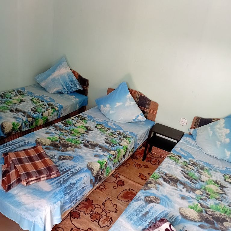 Трёхместный номер с кондиционером, телевизором и санузлом