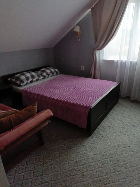 Двухместный номер с 1 кроватью эконом