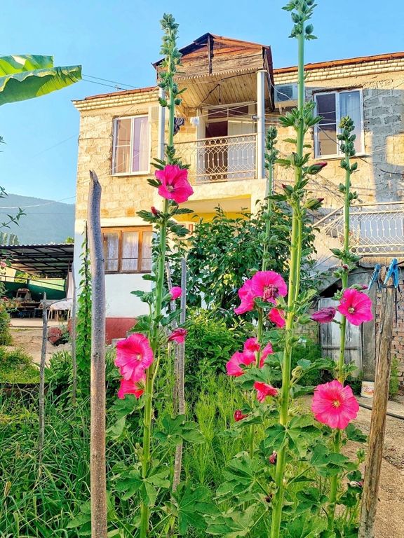 Двухместный номер с 1 кроватью экономы у мамы Наиры 2-местные