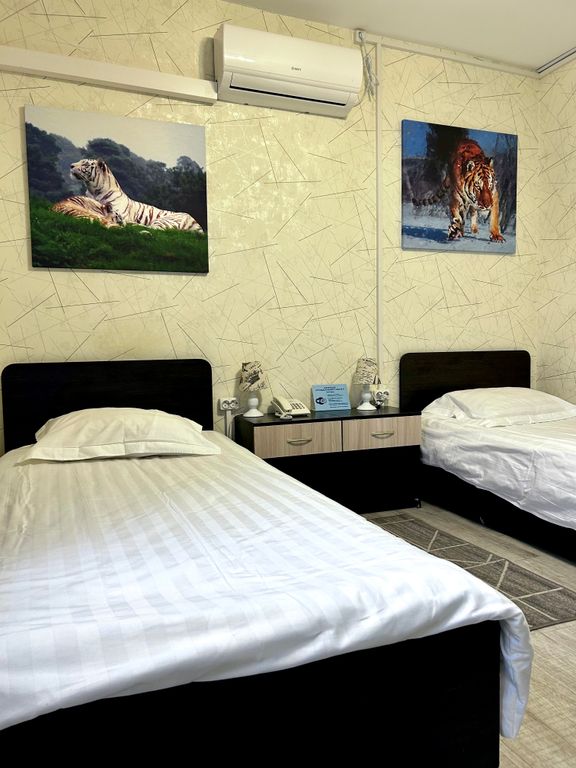 Двухместный номер с 2 отдельными кроватями Стандартный номер с 2 отдельными кроватями