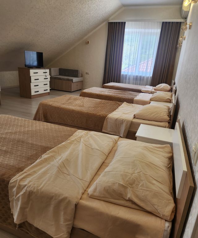 Многоместный смешанный номер Шестиместный номер 4