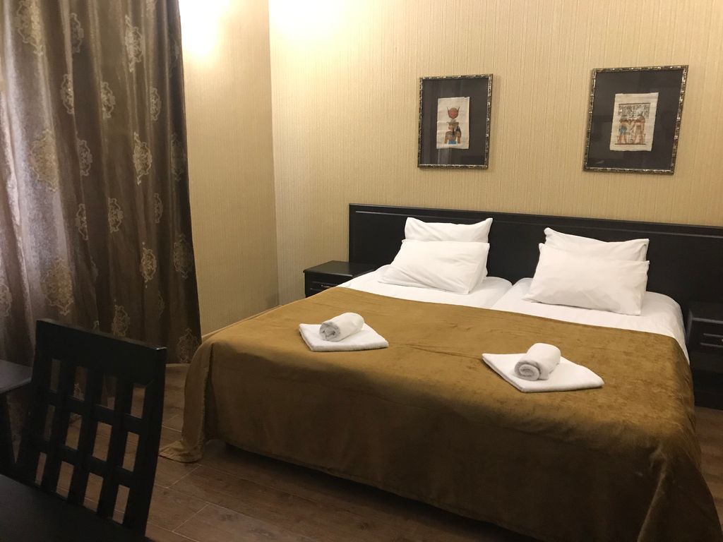 Двухместный номер с 1 кроватью стандарт с видом на город