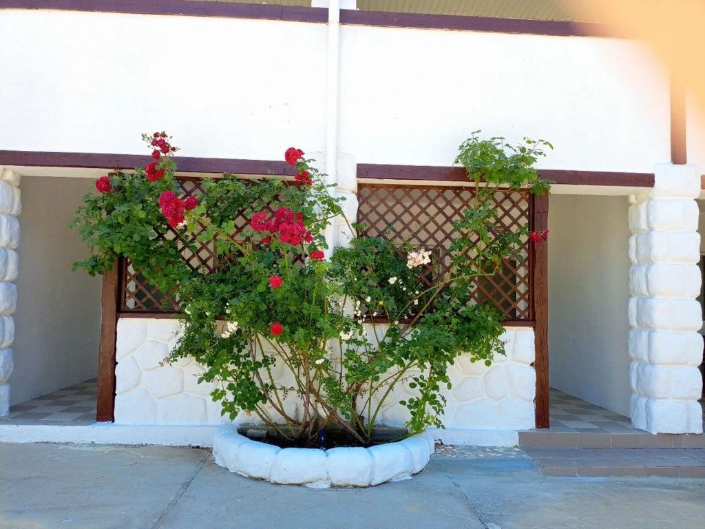 Четырёхместный номер стандарт