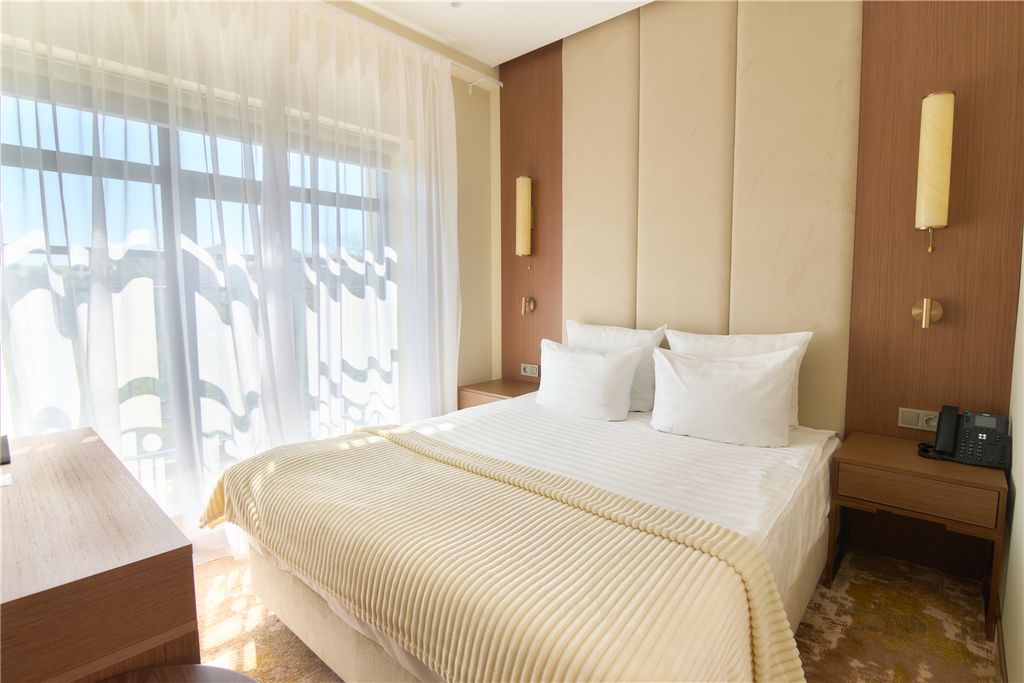 Двухместный номер с 1 кроватью комфорт-бизнес