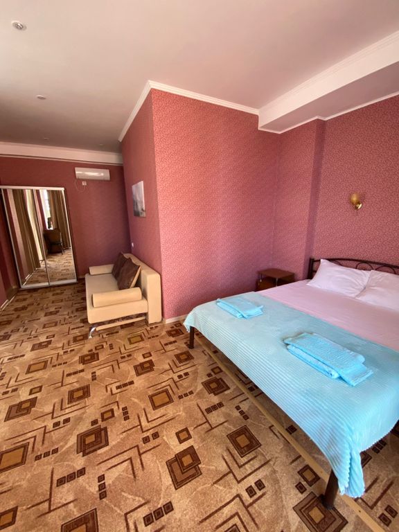 Двухместный номер с 1 кроватью студия