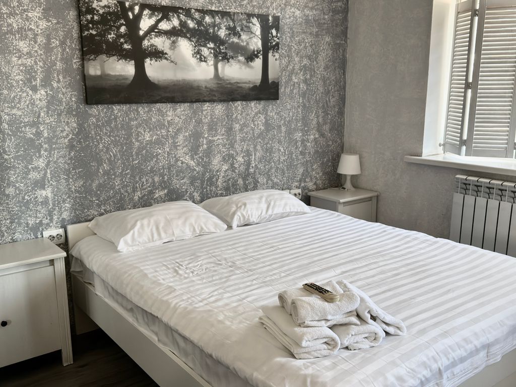 Апартаменты Мансардная студия с двуспальной кроватью