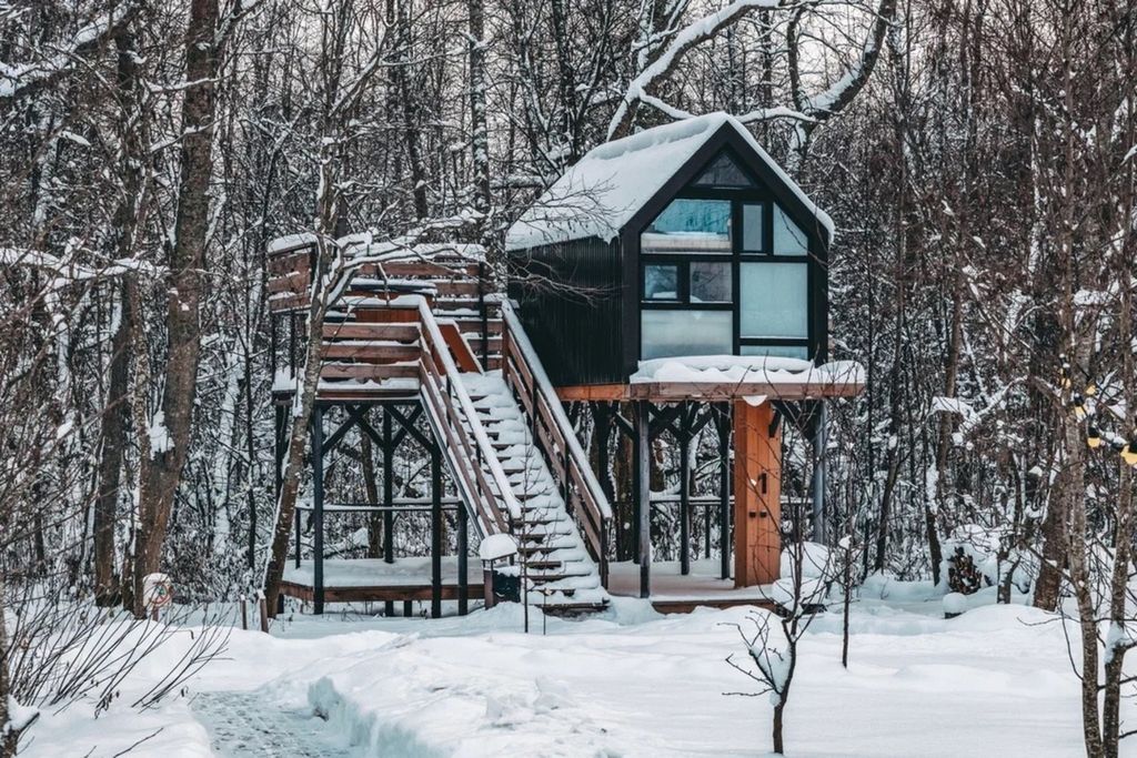 Отдельный дом Дом на дереве Цветы сакуры