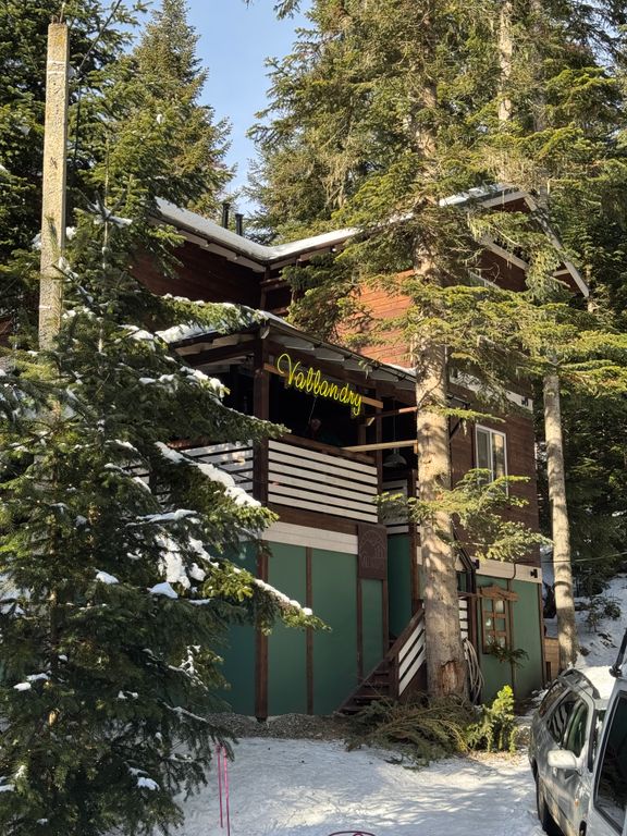 Дом большое шале в пихтовом лесу