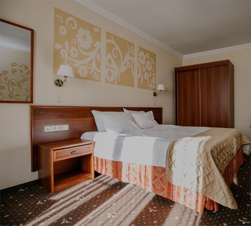 Двухместный номер с 1 кроватью люкс с индивидуальным парковочным местом на территории отеля