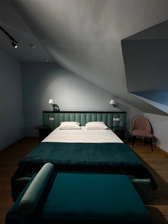 Двухместный номер с 1 кроватью Стандарт мансардный этаж