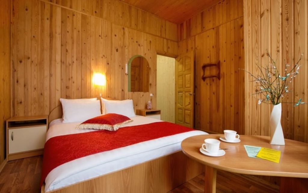 Двухместный номер с 1 кроватью Однокомнатный Эконом+ с сауной