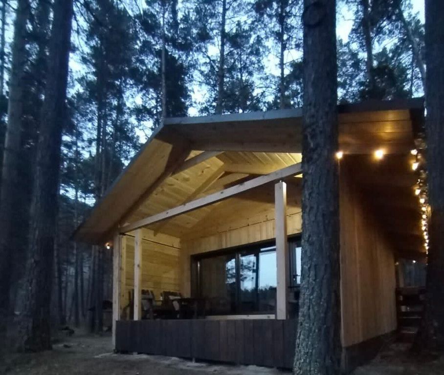 Дом на берегу Катуни: Дом лисы