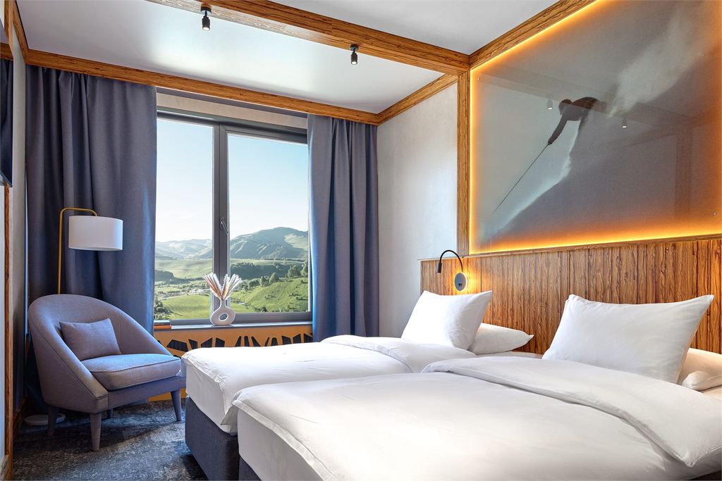 Двухместный номер с 2 отдельными кроватями стандарт с видом на горы