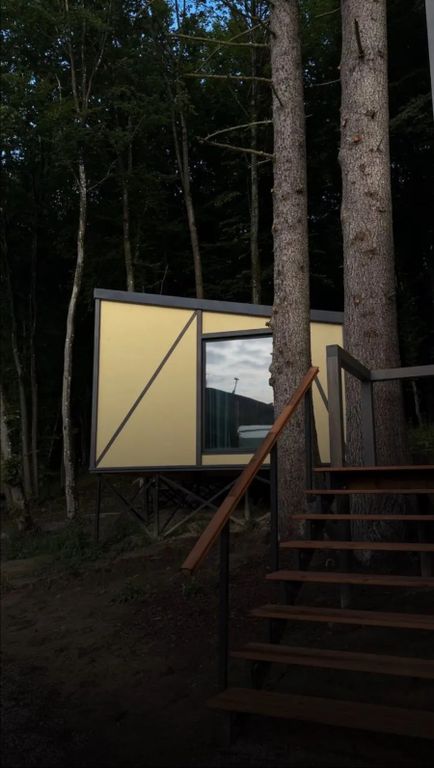 Дом лесное шале