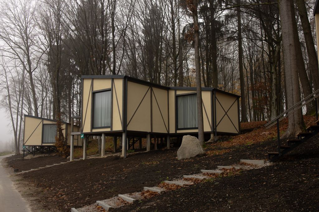 Дом большое лесное шале