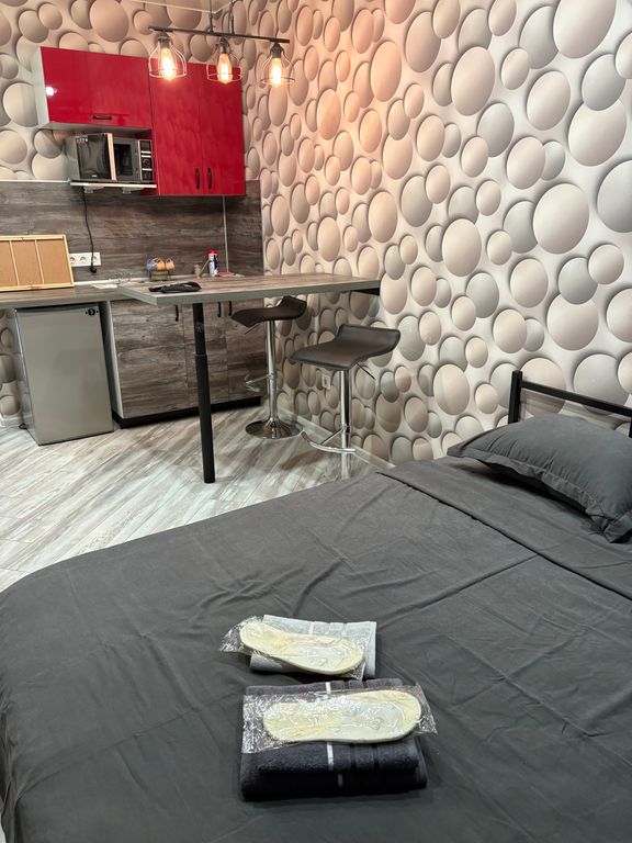 Двухместный номер с 1 кроватью студия