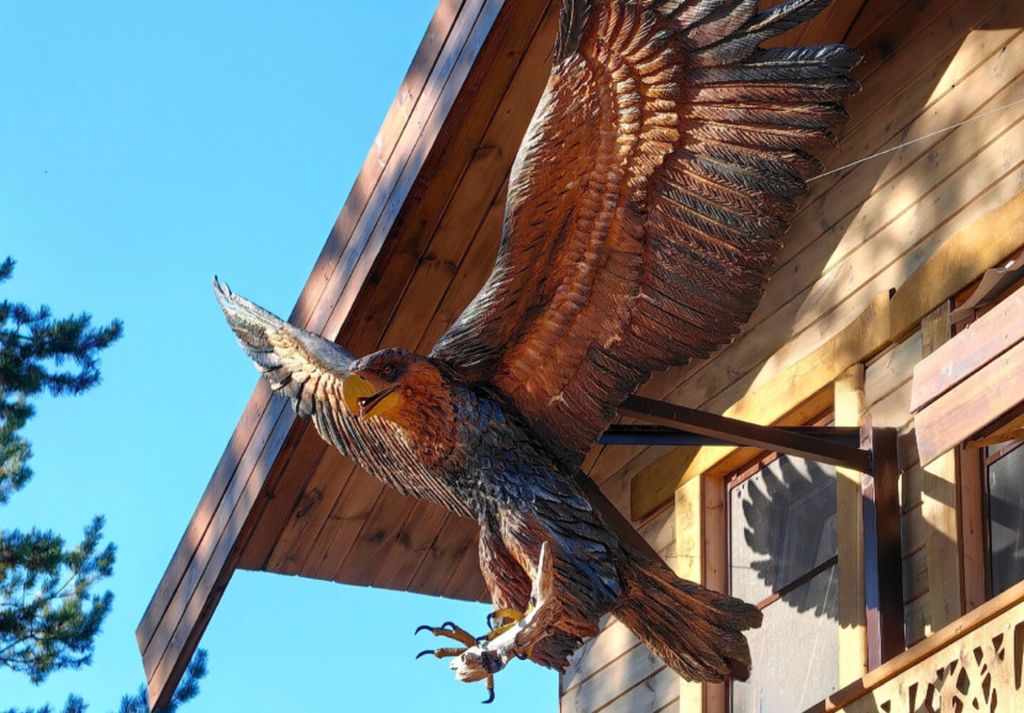 Дом гнездо орла