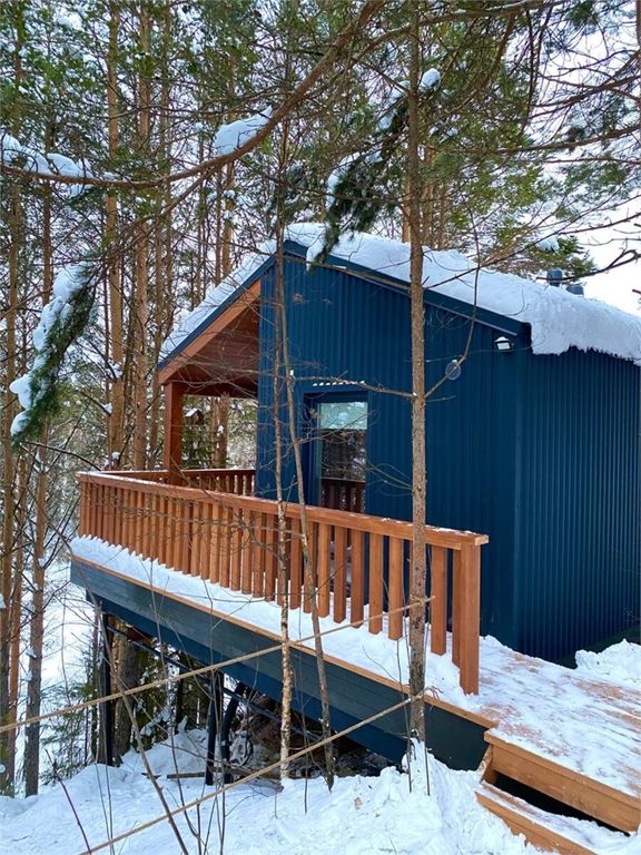 Дом шишки Кедровые