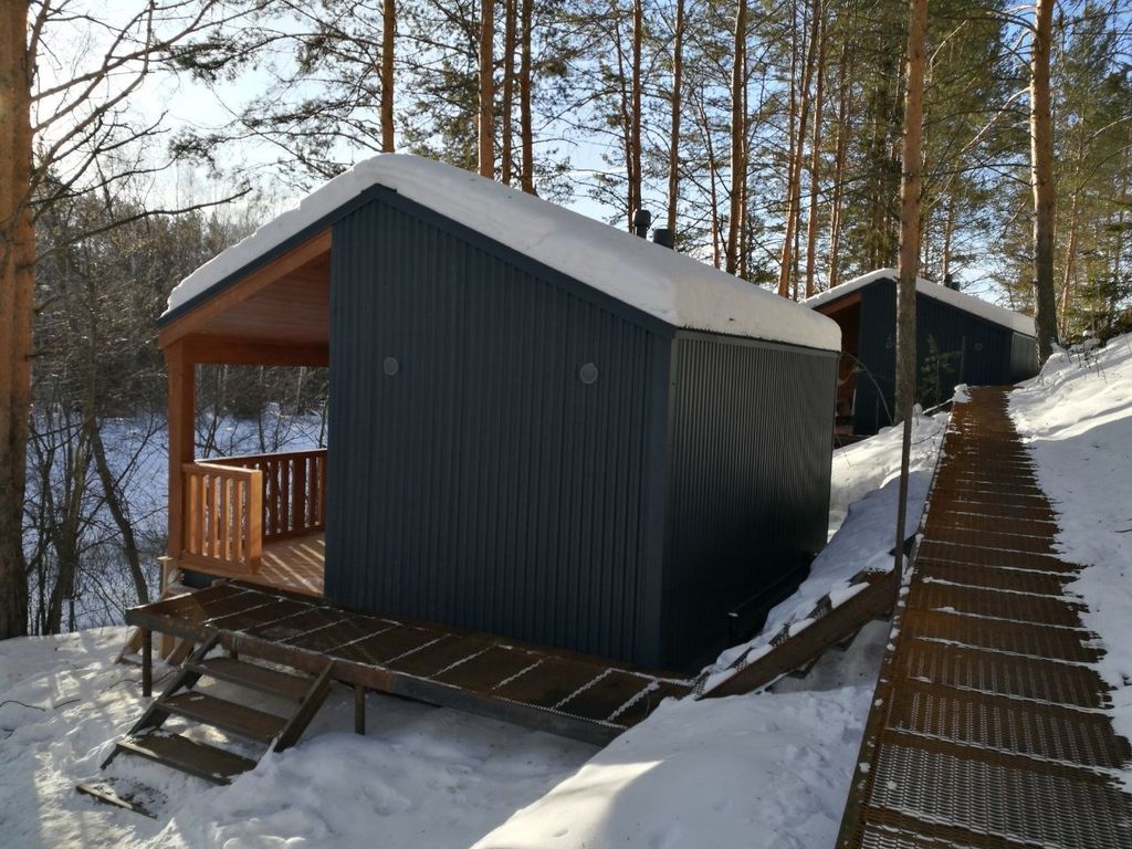 Дом шишки Сосновые