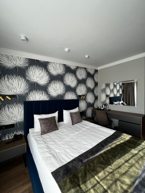 Двухместный номер с 1 кроватью стандарт с видом на горы