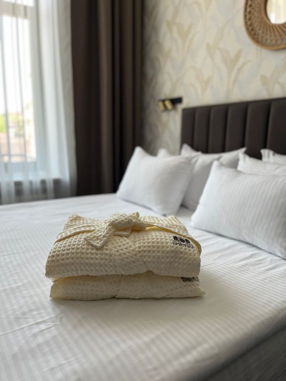 Двухместный номер с 1 кроватью стандарт с видом на город