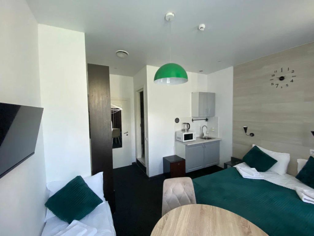 Двухместный номер с 1 кроватью с возможным дополнительным местом