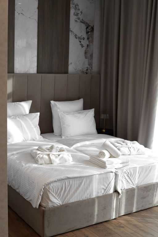 Двухместный номер с 2 отдельными кроватями Deluxe Twin