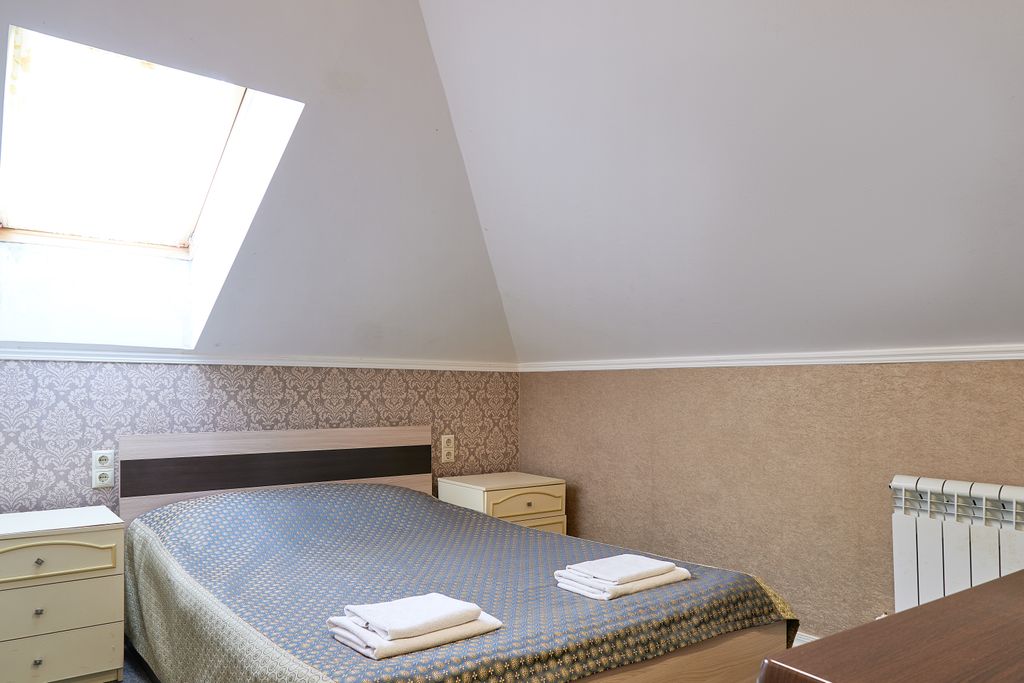 Двухместный номер с 1 кроватью эконом на мансарде