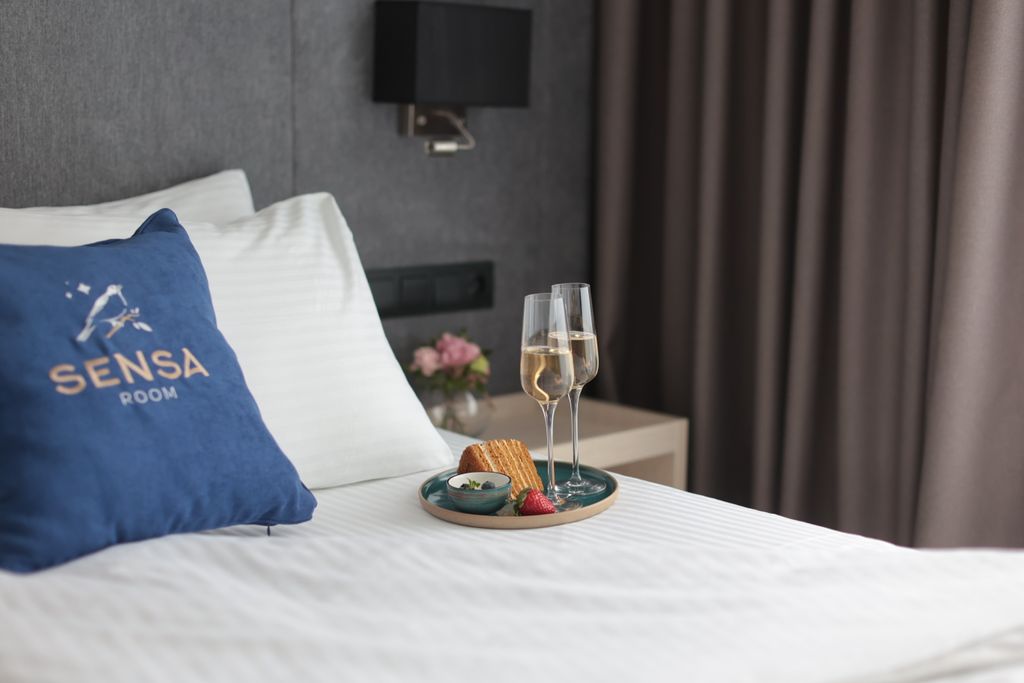 Двухместный номер с 1 кроватью студия классик Grey