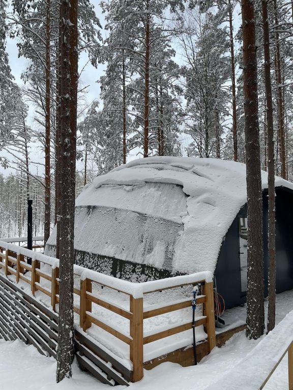 Купол лесной лодж с купелью