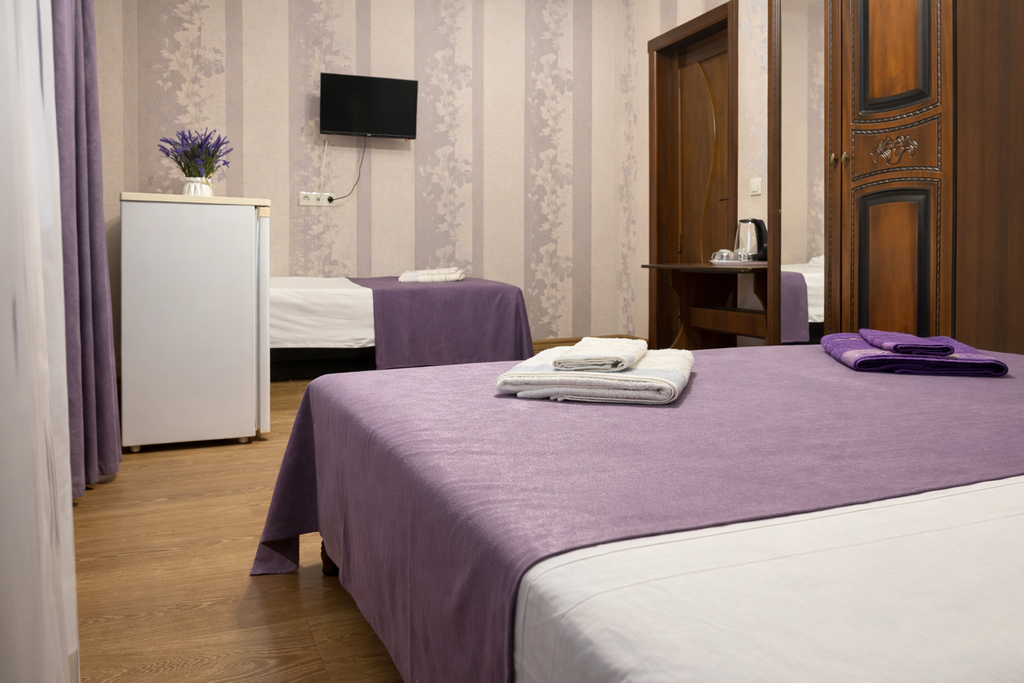 Семейный номер стандарт с видом на город