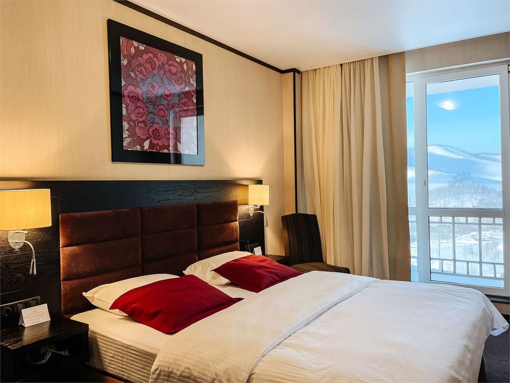 Двухместный номер с 1 кроватью Люкс с одной спальней