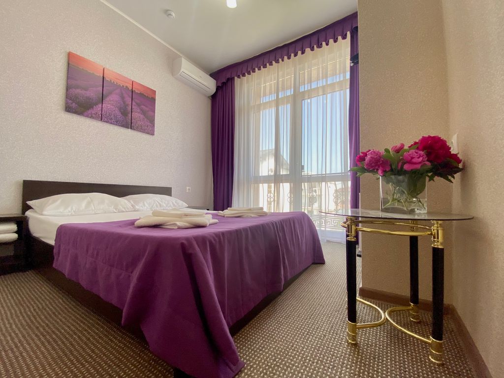 Двухместный номер с 1 кроватью Номер с французским балкончиком