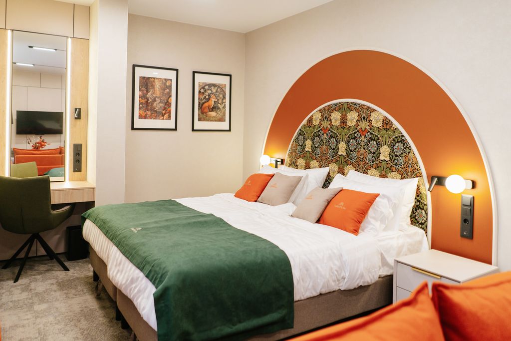 Двухместный номер с 1 кроватью делюкс