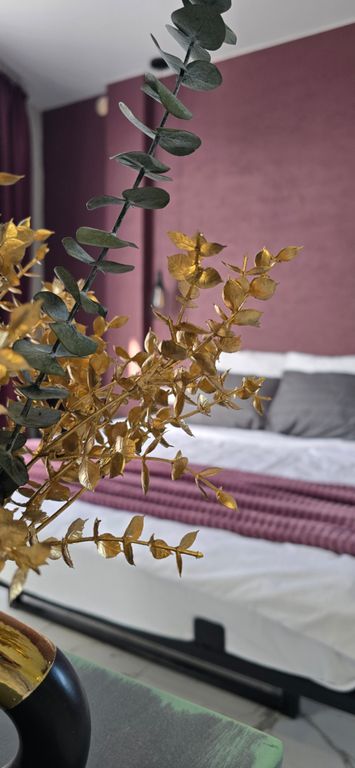 Апартаменты Вино