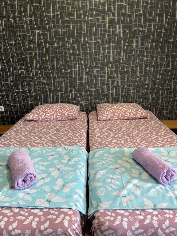 Двухместный номер с 2 отдельными кроватями стандарт с видом на горы