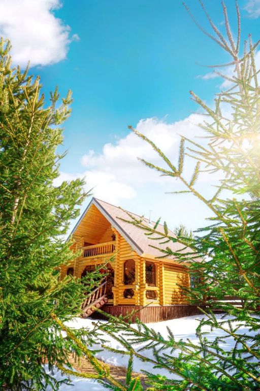 Дом в Белой Морошке