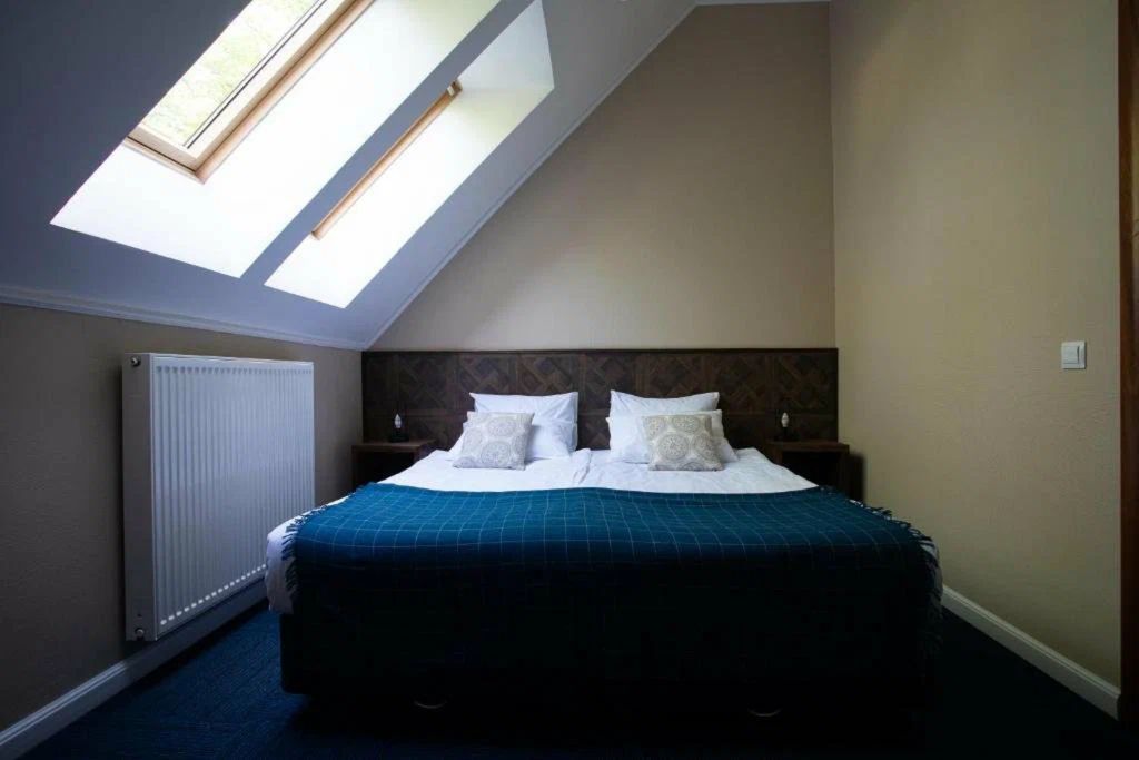 Двухместный номер с 1 кроватью люкс