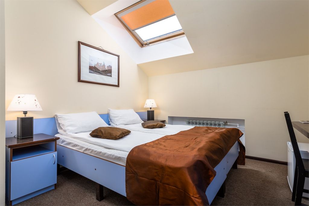 Двухместный номер с 1 кроватью стандарт мансарда