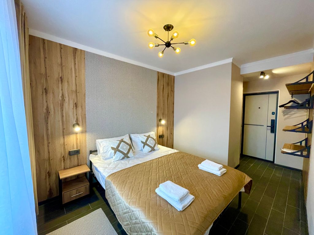 Двухместный номер с 1 кроватью 33